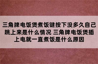 三角牌电饭煲煮饭键按下没多久自己跳上来是什么情况 三角牌电饭煲插上电就一直煮饭是什么原因